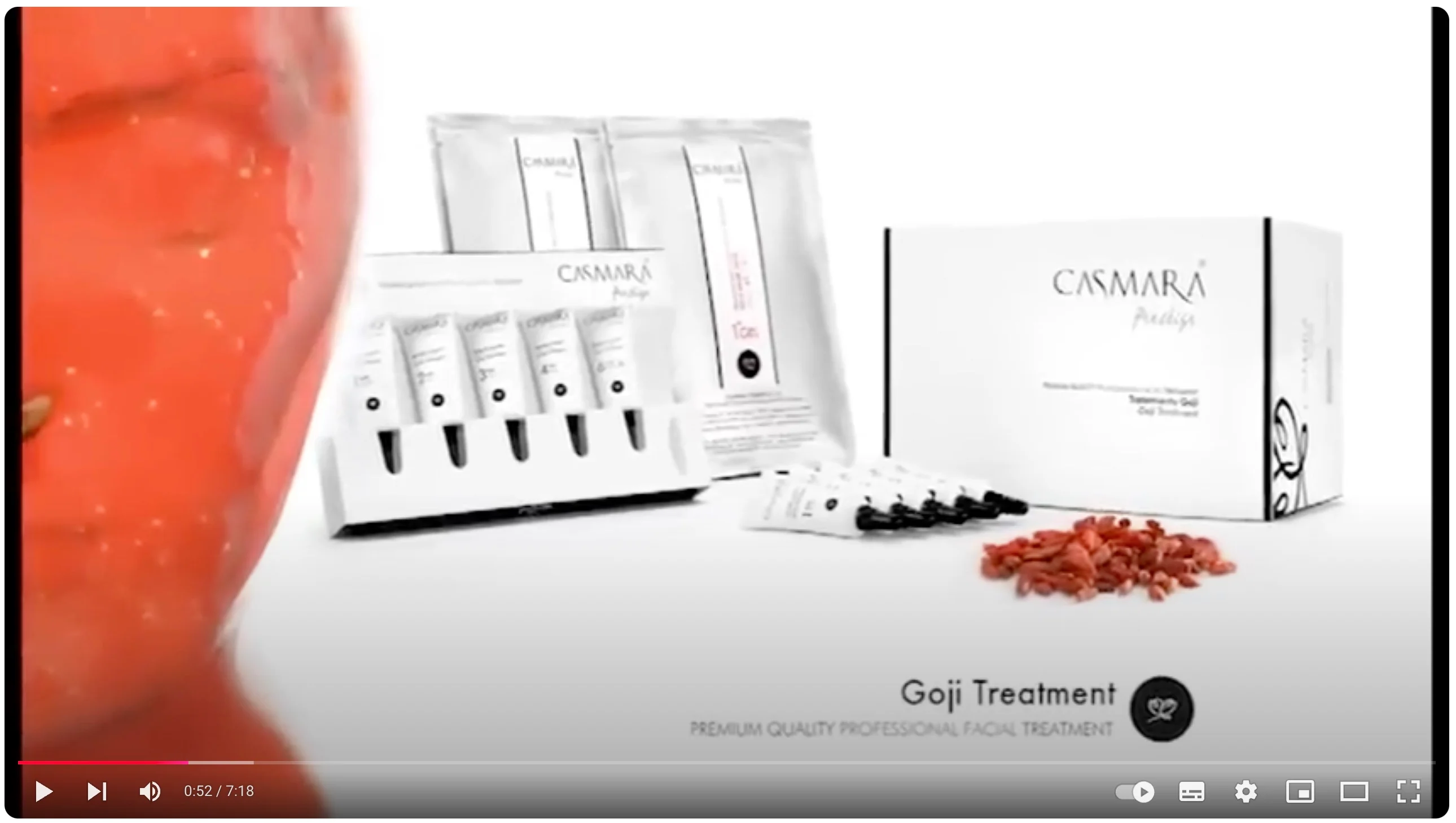 Vorschau-Bild fürs Video