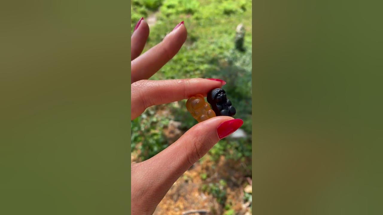 Vorschau-Bild fürs Video