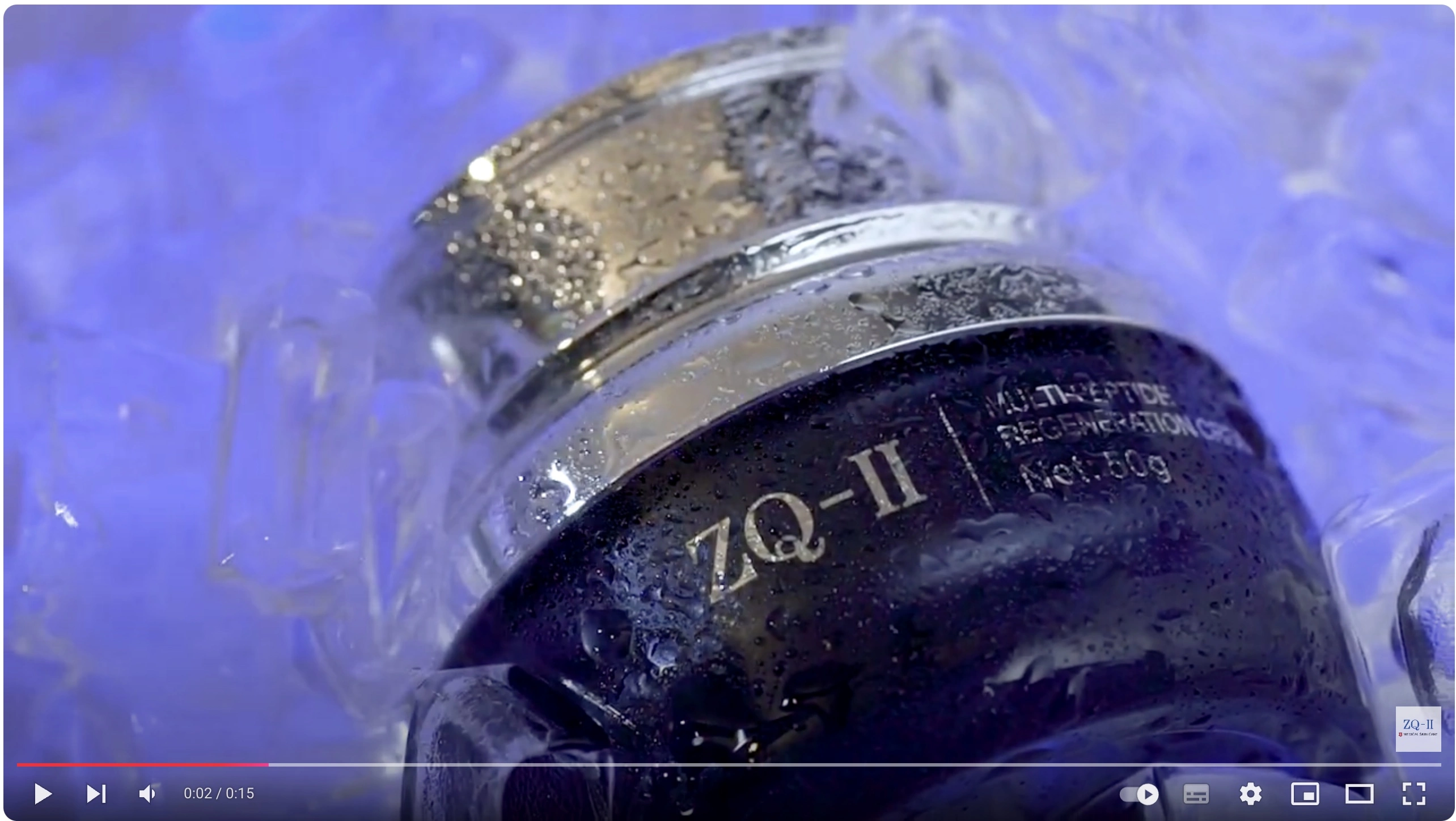 Vorschau-Bild fürs Video