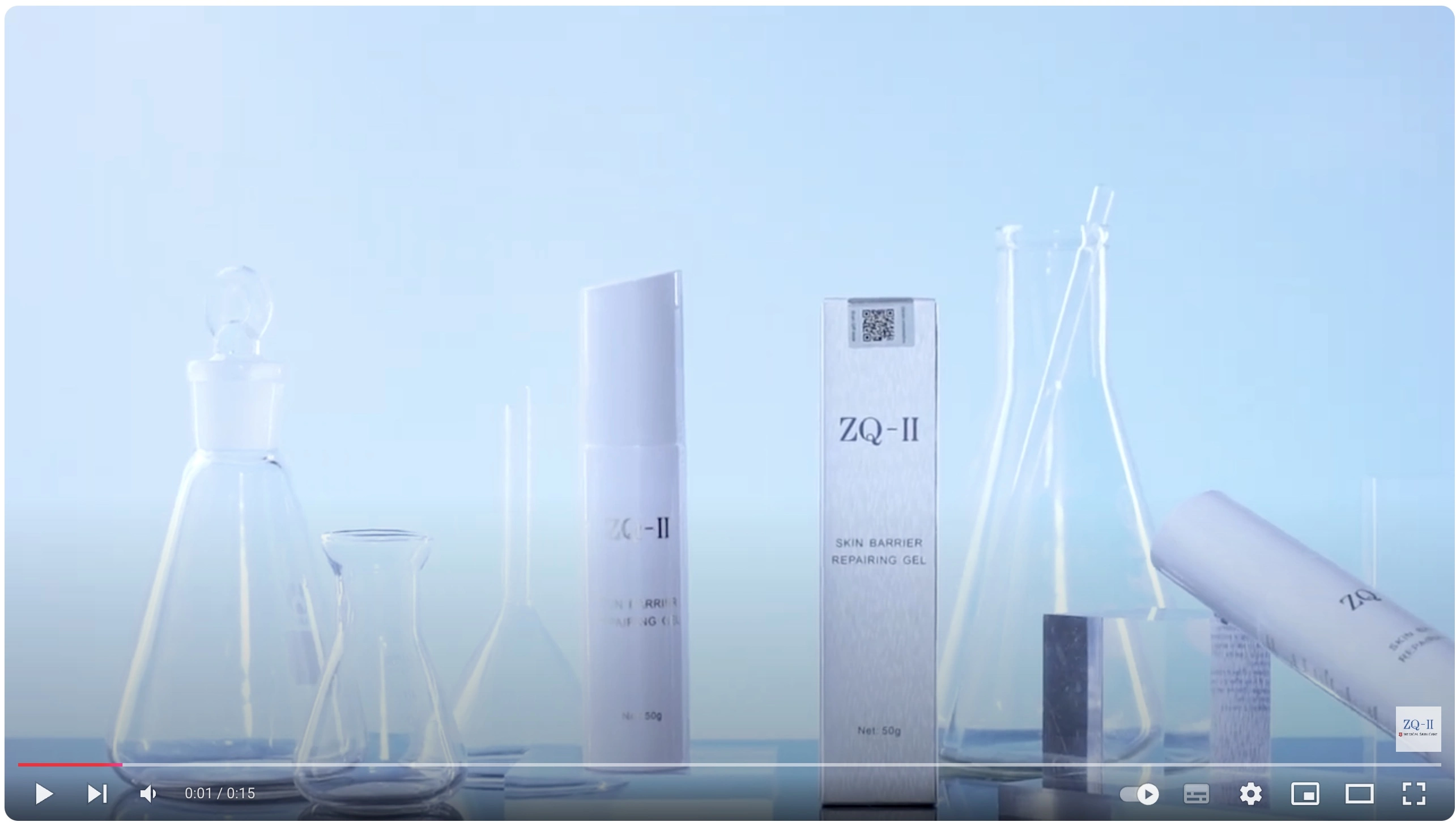 Vorschau-Bild fürs Video